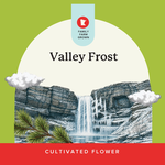 -IX | Verist Fields | Valley Frost | 3.5g product