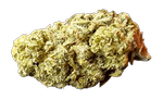 Fog Dog-IX | FLÖR | Fog Dog | 3.5g product