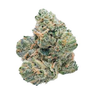GSC91