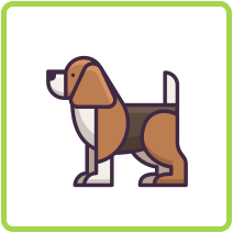 Pet Wellness