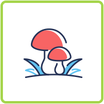 Mushrooms