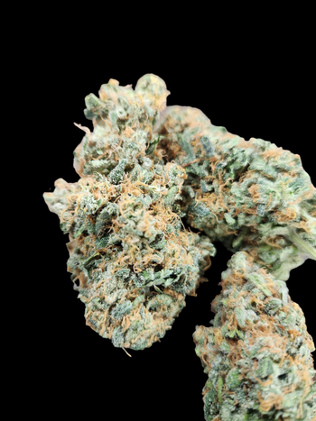 The NorthFire Funyon Haze