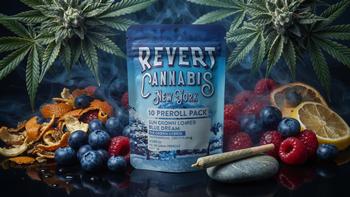 Revert Pre Roll Blue Dream 1g 10pk
