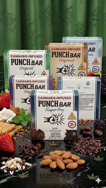 Punch | Sugar Free | Dark Chocolate | 100mg
