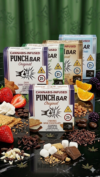 Punch | Original | Smores Milk Chocolate | 100mg