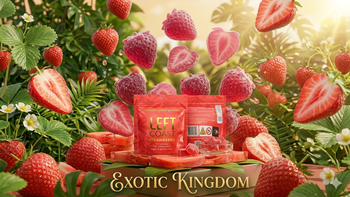 Left Coast | Strawberry | Gummies 100mg