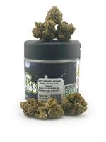  SFV OG - 3.5g Packaged Indoor Flower Jars - SATIVA 22%THC